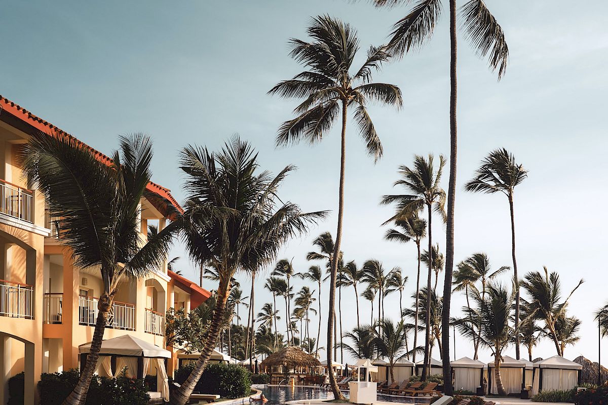 The image shows a tropical resort with a swimming pool, surrounded by palm trees and lounge chairs under a clear blue sky.